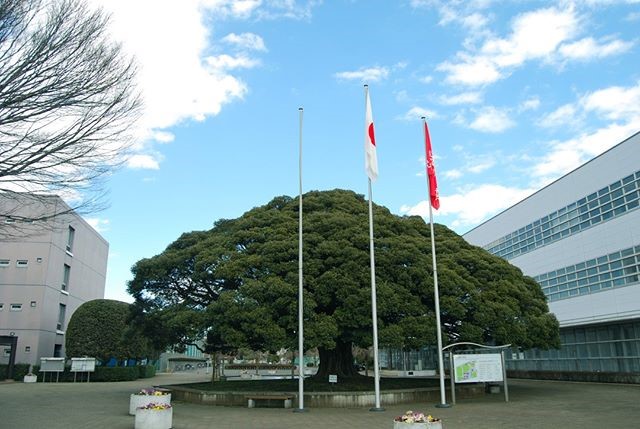 実籾キャンパス