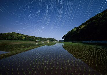 横芝光町