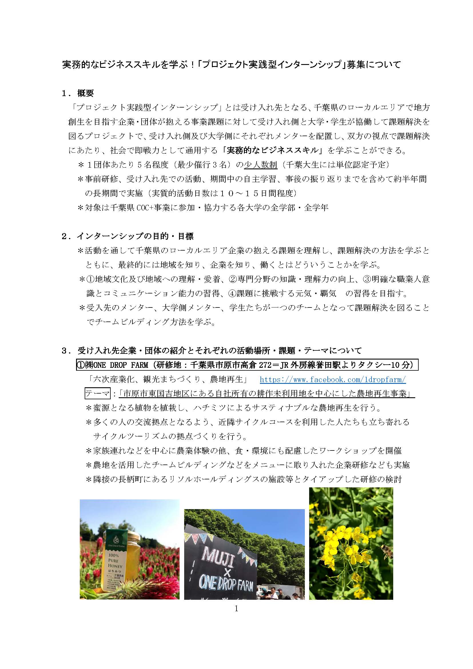 プロジェクト実践型インターンシップ