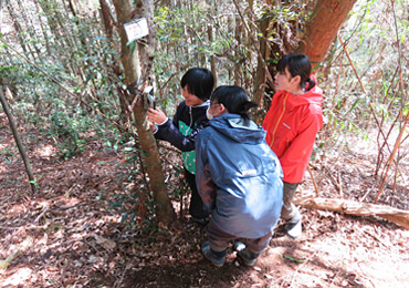 銚子市におけるイノシシ・アライグマの生息状況調査と被害対策
