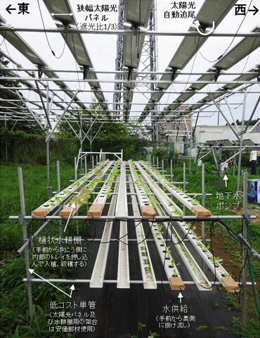 図1.太陽光自動追尾機構を装備した樋式水耕ソーラーシェアリング実験設備(三者共同製作)