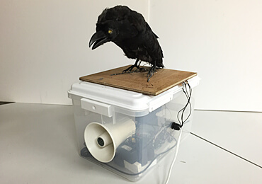 Cybernetics Crow